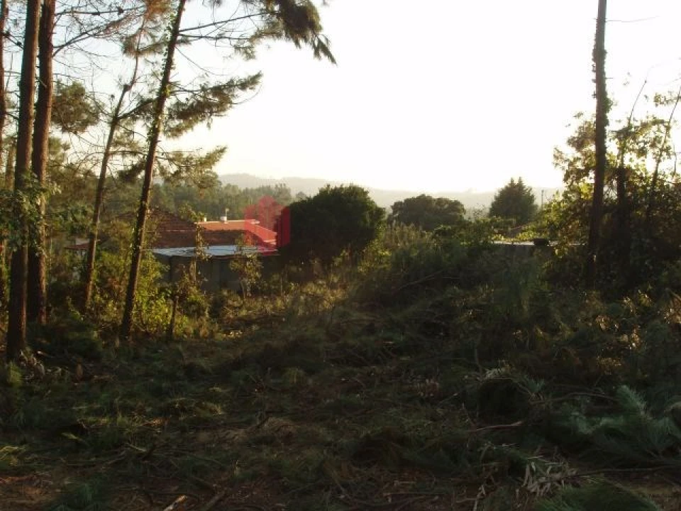 Terreno para Venda em Melres e Medas Foto 54