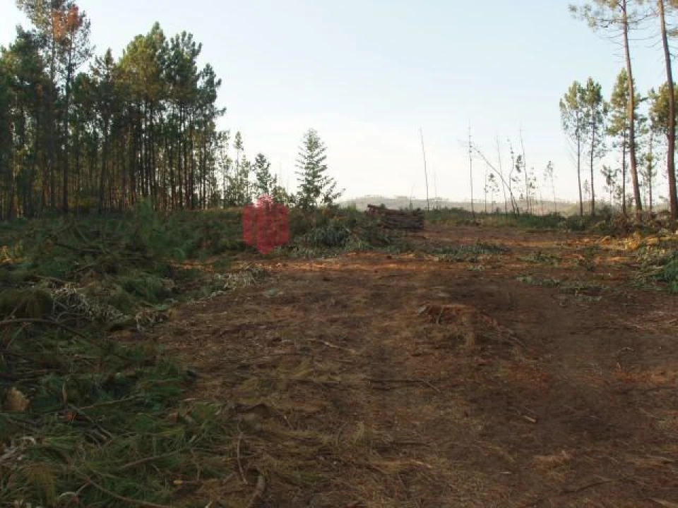 Terreno para Venda em Melres e Medas Foto 55