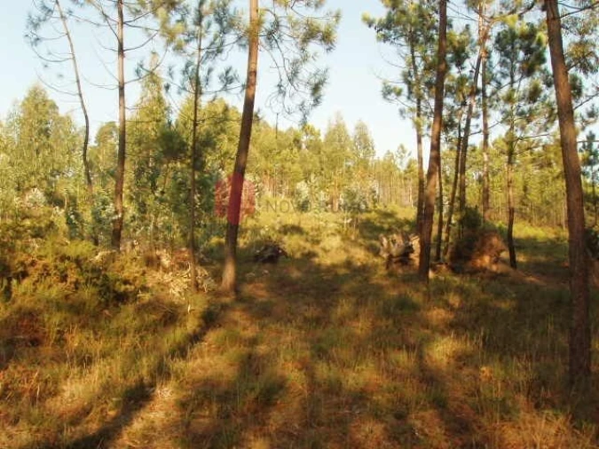 Terreno para Venda em Melres e Medas Foto 2