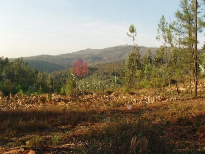 Terreno para Venda em Melres e Medas Foto 3