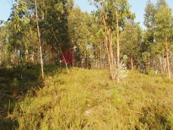 Terreno para Venda em Melres e Medas Foto 8