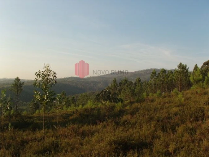 Terreno para Venda em Melres e Medas Foto 9