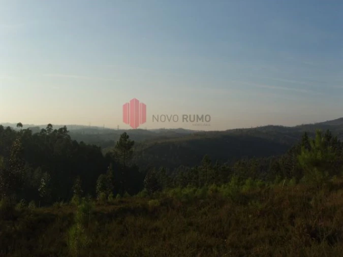 Terreno para Venda em Melres e Medas Foto 10