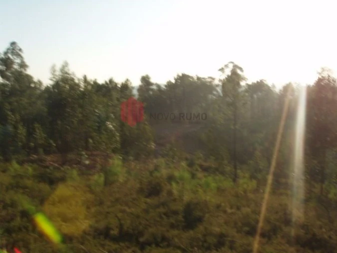 Terreno para Venda em Melres e Medas Foto 15