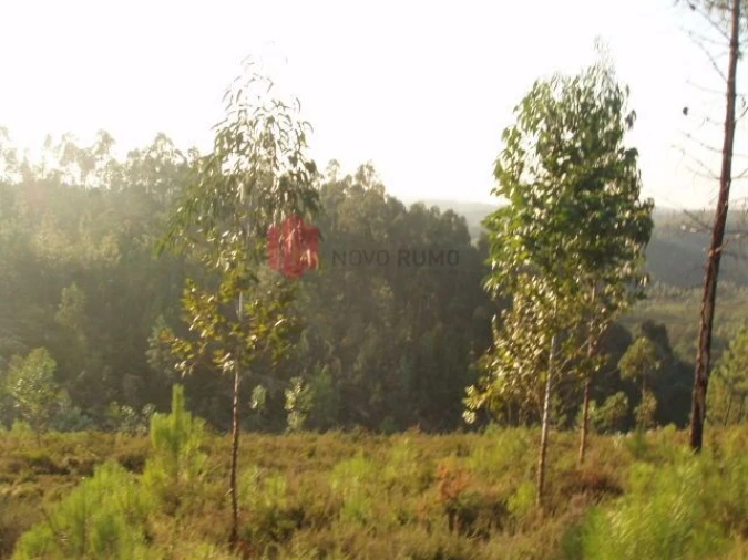 Terreno para Venda em Melres e Medas Foto 16