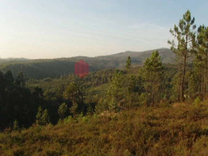 Terreno para Venda em Melres e Medas Foto 17