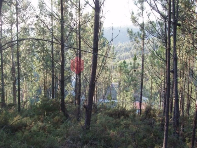 Terreno para Venda em Melres e Medas Foto 24