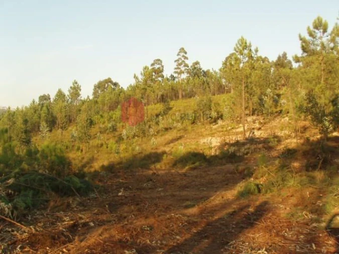 Terreno para Venda em Melres e Medas Foto 28