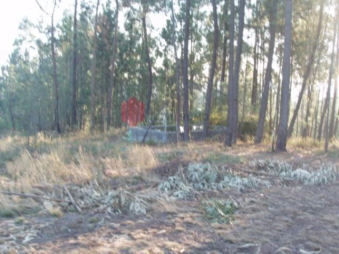 Terreno para Venda em Melres e Medas Foto 31