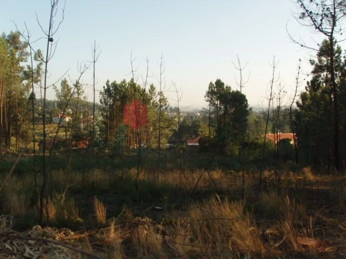 Terreno para Venda em Melres e Medas Foto 32