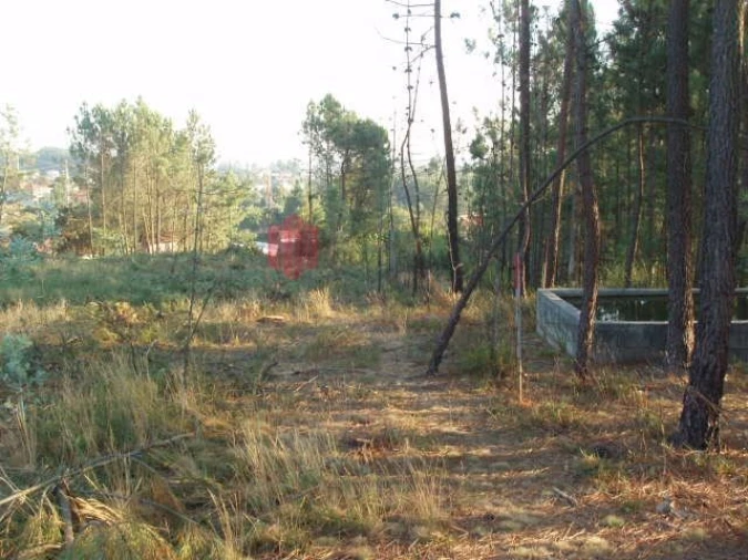 Terreno para Venda em Melres e Medas Foto 35