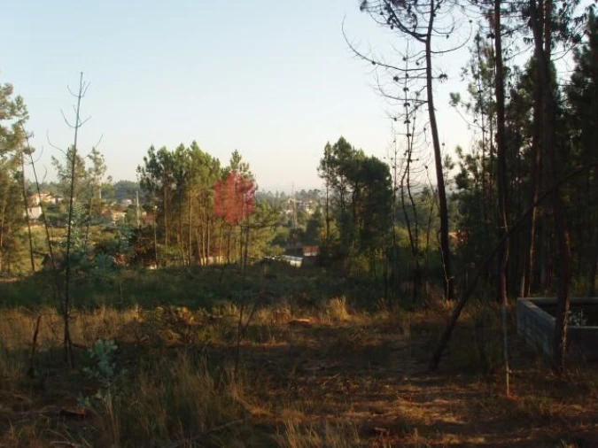 Terreno para Venda em Melres e Medas Foto 36
