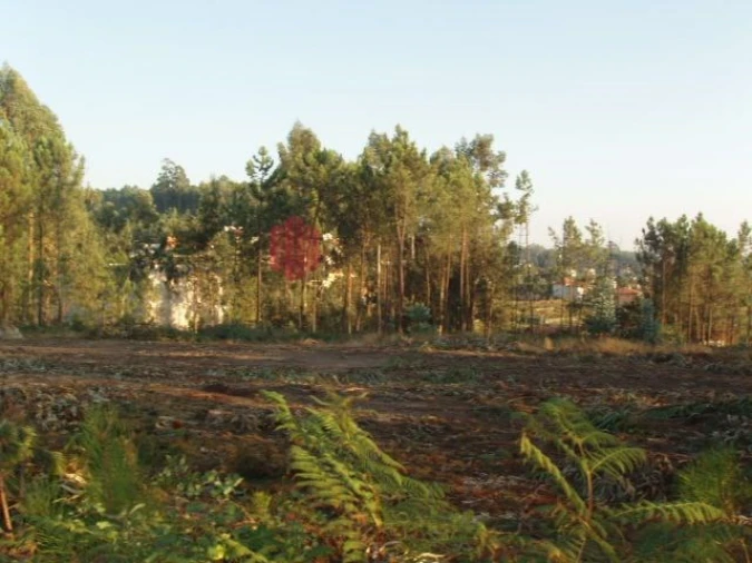 Terreno para Venda em Melres e Medas Foto 38