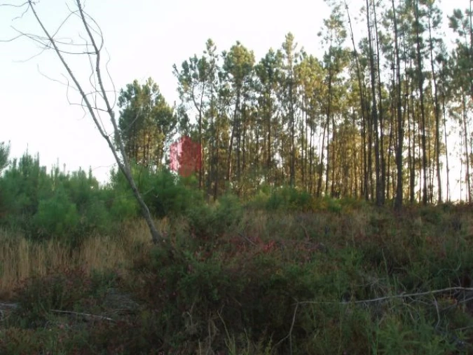 Terreno para Venda em Melres e Medas Foto 43