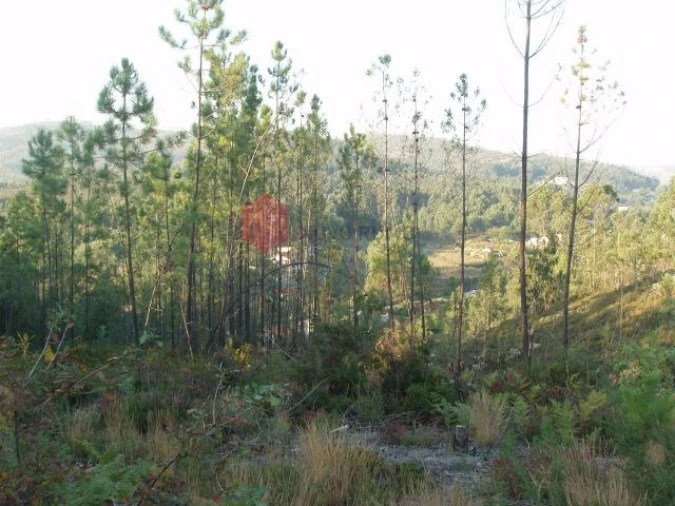 Terreno para Venda em Melres e Medas Foto 44