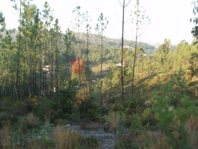 Terreno para Venda em Melres e Medas Foto 46