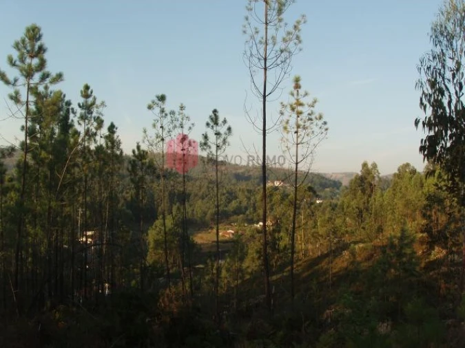 Terreno para Venda em Melres e Medas Foto 47