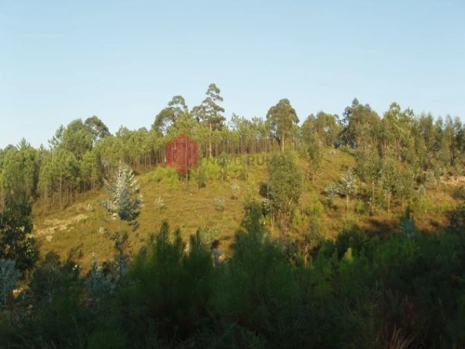 Terreno para Venda em Melres e Medas Foto 48