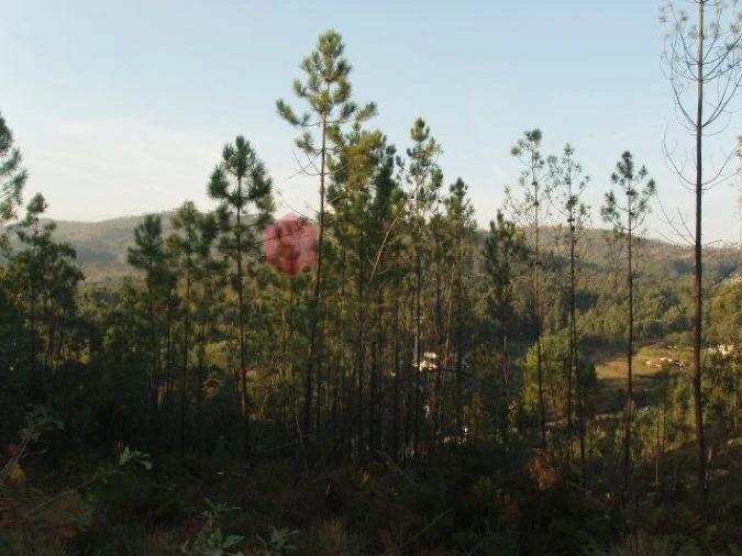 Terreno para Venda em Melres e Medas Foto 52