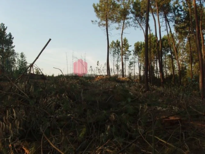 Terreno para Venda em Melres e Medas Foto 56
