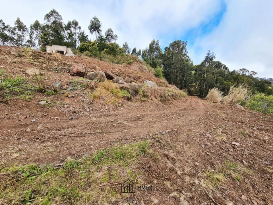 Terreno para Venda em Quinta Grande Foto 5