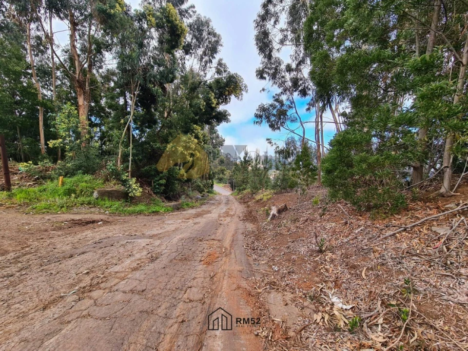 Terreno para Venda em Quinta Grande Foto 13