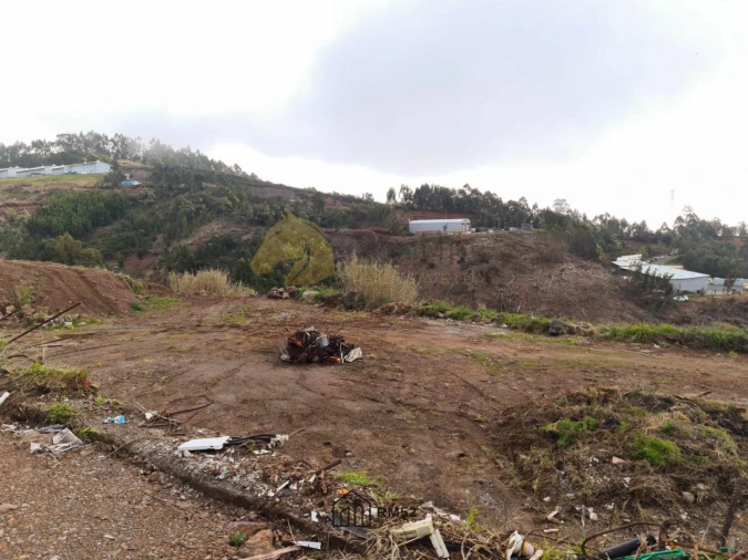 Terreno para Venda em Quinta Grande Foto 11