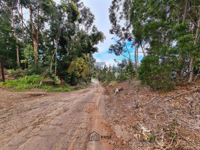 Terreno para Venda em Quinta Grande Foto 13