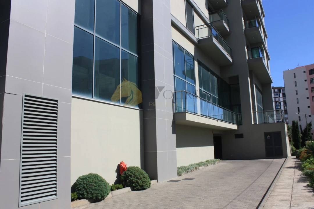 Loja para Venda em São Martinho Foto 14