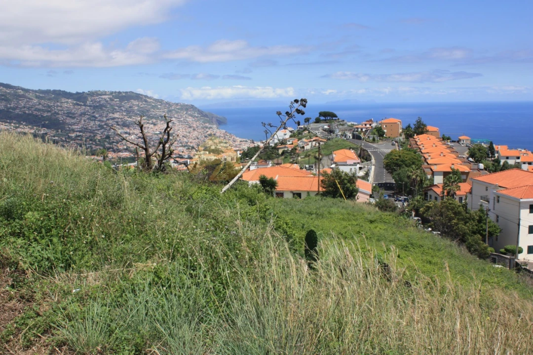 Terreno para Venda em Santo Antonio Foto 1