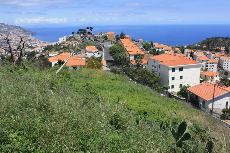Terreno para Venda em Santo Antonio Foto 3