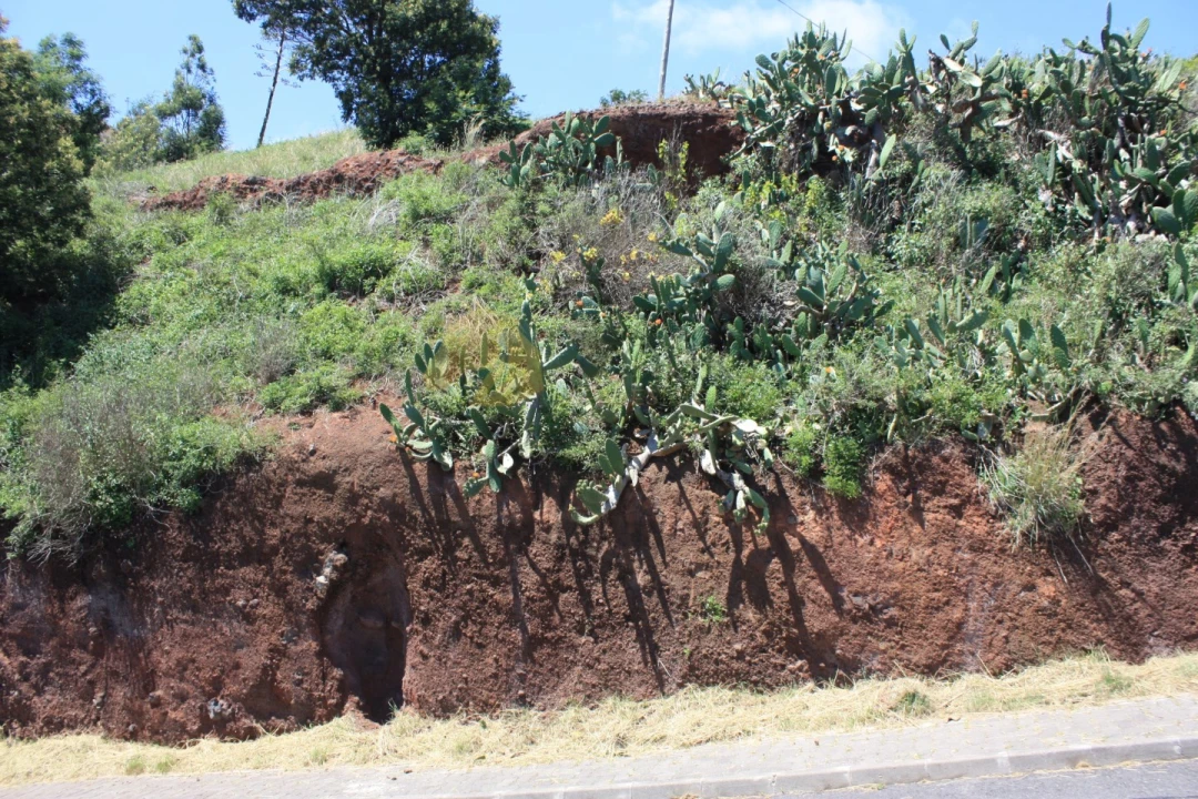 Terreno para Venda em Santo Antonio Foto 10