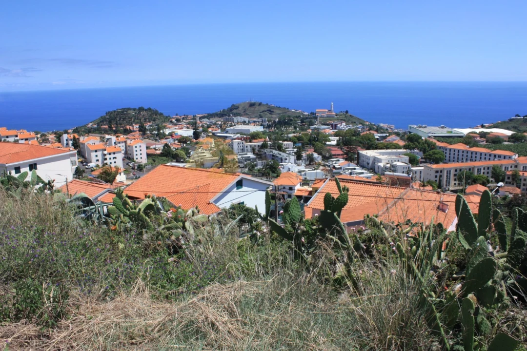 Terreno para Venda em Santo Antonio Foto 14