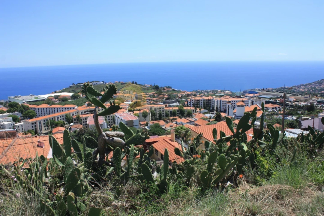 Terreno para Venda em Santo Antonio Foto 15