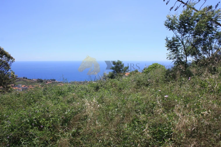 Terreno para Venda em Santo Antonio Foto 4