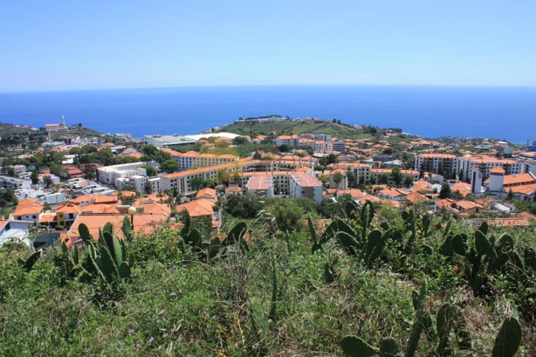 Terreno para Venda em Santo Antonio Foto 5