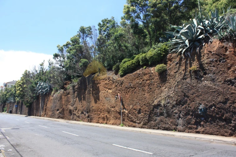 Terreno para Venda em Santo Antonio Foto 13