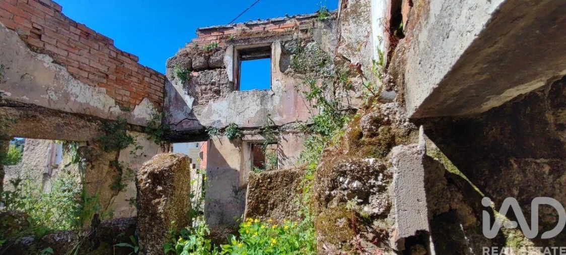 Moradia para Venda em Santa Comba Dão e Couto do Mosteiro Foto 15