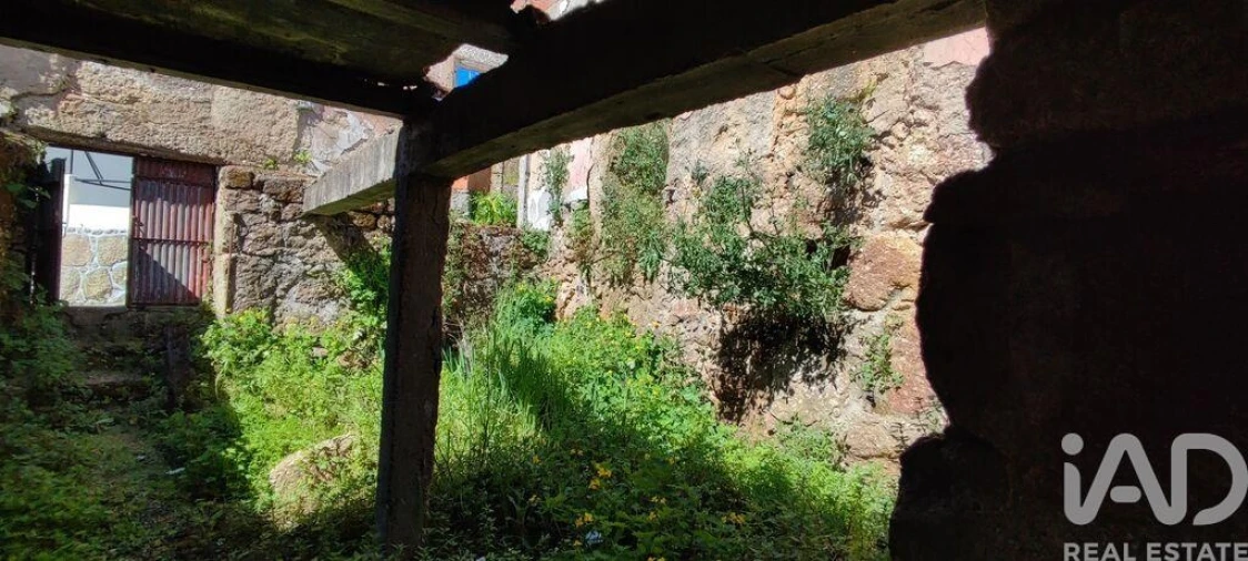 Moradia para Venda em Santa Comba Dão e Couto do Mosteiro Foto 23