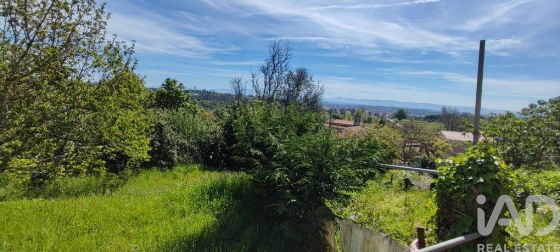 Moradia para Venda em Santa Comba Dão e Couto do Mosteiro Foto 24