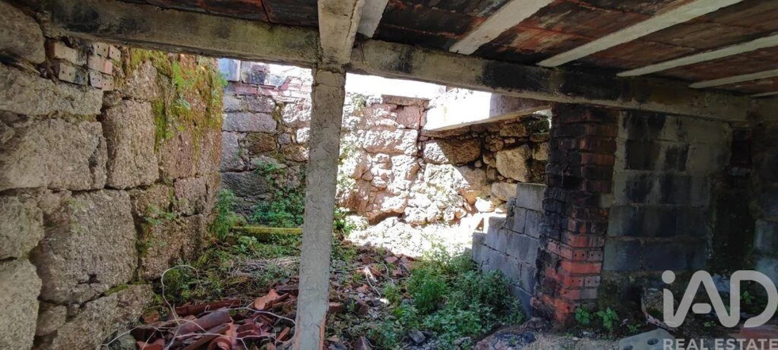 Moradia para Venda em Santa Comba Dão e Couto do Mosteiro Foto 12