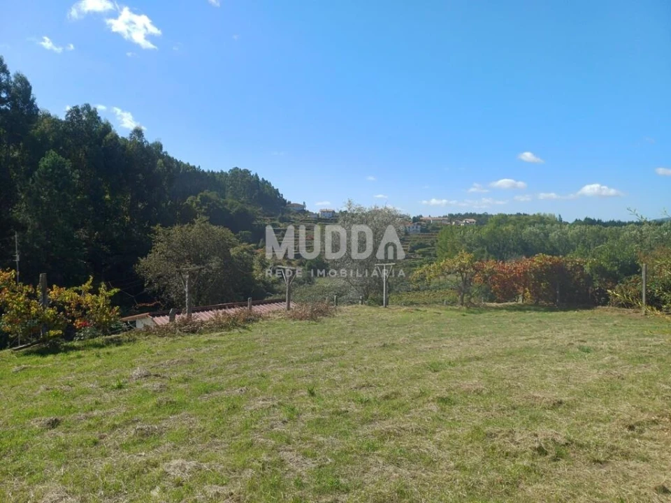 Terreno para Venda em Macieira de Cambra Foto 9