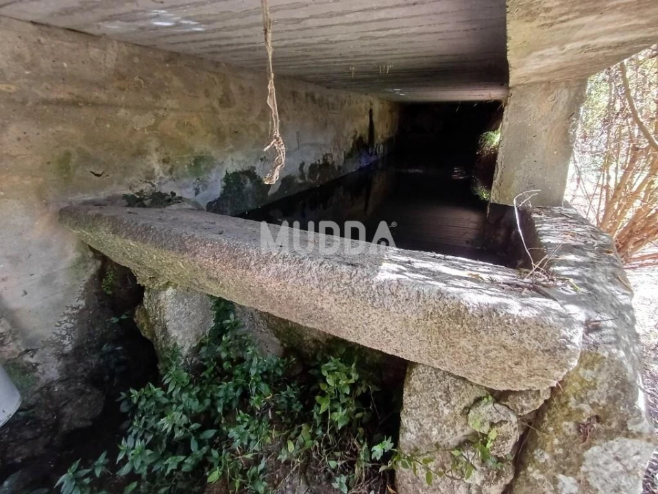Terreno para Venda em Macieira de Cambra Foto 4