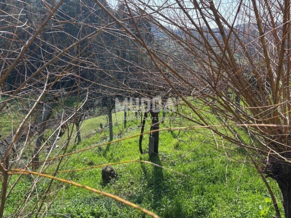 Terreno para Venda em Macieira de Cambra Foto 22
