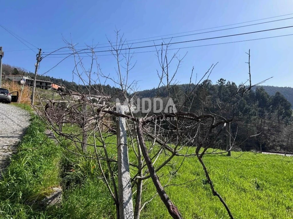 Terreno para Venda em Macieira de Cambra Foto 12