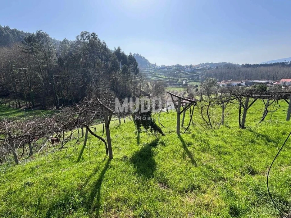 Terreno para Venda em Macieira de Cambra Foto 18