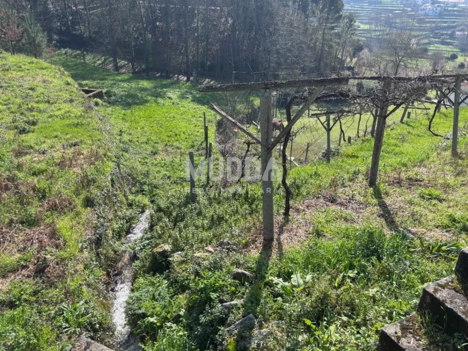 Terreno para Venda em Macieira de Cambra Foto 20