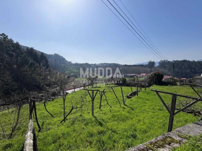 Terreno para Venda em Macieira de Cambra Foto 16
