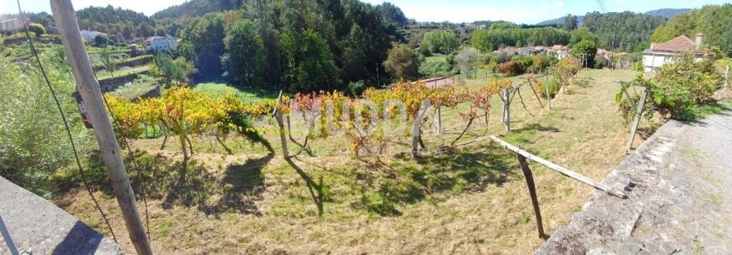 Terreno para Venda em Macieira de Cambra Foto 8