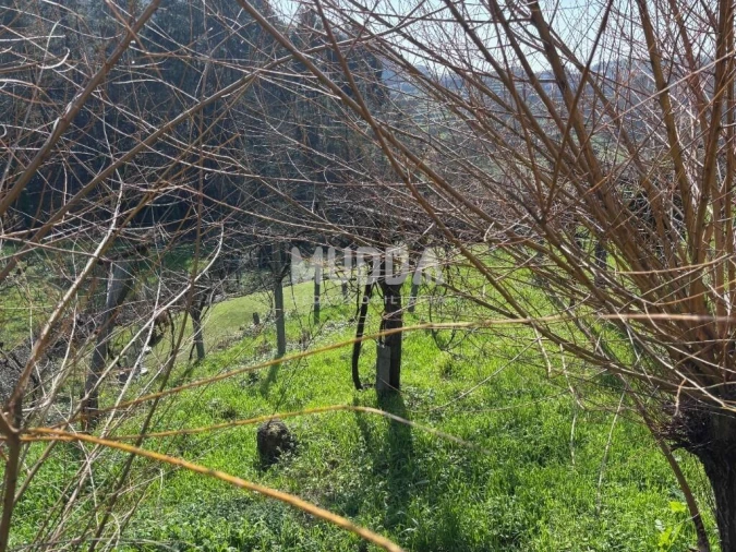 Terreno para Venda em Macieira de Cambra Foto 22